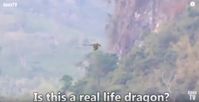 Bild: Screenshot Youtube Video "Dragon Caught on Tape in China"