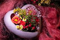 Die Floristik-Branche boomt - und das nicht nur am bevorstehenden Valentinstag. Im Jahr 2022 erwirtschaftete die Blumen- und Pflanzenbranche in Deutschland einen Umsatz von über neun Milliarden Euro.