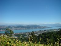 Zürichsee vom Uetliberg aus gesehen