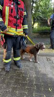 Bild: Feuerwehren Hattersheim