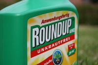 Round-up Glyphosat - hochgiftig für Mensch, Tier und Pflanze