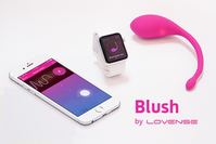 Sex-Toy "Blush": WLAN-fähiges Sexspielzeug im Anmarsch. Bild: indiegogo.com