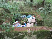 Illegale Müllablagerung Bild: Polizei
