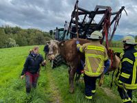 Bild: Feuerwehr