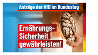 Bild: AfD Deutschland