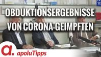 Bild: SS Video: "Pathologen enthüllen Obduktionsergebnisse von verstorbenen Corona-Geimpften" (https://veezee.tube/w/7vJWUnRDRgBGHJzJLaugAV) / Eigenes Werk