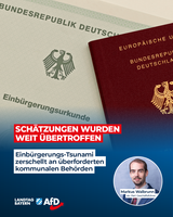 Bild: AfD Deutschland