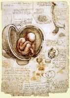 Zeichnung eines Föten in der Gebärmutter (Leonardo da Vinci, 1511)