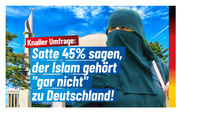 Bild: AfD Deutschland