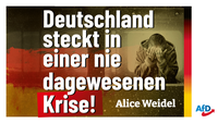 Bild: AfD Deutschland