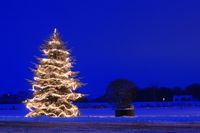 Weihnachtsbaum /Weihnachtsbeleuchtung (Symbolbild)