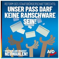 Bild: AfD Deutschland