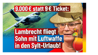 Bild: AfD Deutschland