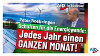 Bild: AfD Deutschland