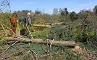 Täglich gehen in Deutschland rund 1,5 km² (220 Fußballfelder) Land unwiderbringlich verloren durch Errossion, Neubaugebiete, Straßen, etc.