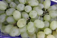Weintrauben aus dem Supermarkt. Bild: Fred Dott / Greenpeace