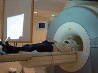 Mit der funktionellen Magnetresonanztomographie können Radiologen kognitive Vorgänge - wie Wahrnehmungen und Gefühle - darstellen. © Institut für Klinische Radiologie der LMU 2006