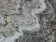 Eine von den Forschenden datierte Gesteinsprobe: Der Quarzit wurde in etwa 60 bis 80 km Tiefe am Plattenrand gebildet. Bild: Martin Engi