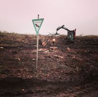Rodungsarbeiten im Hambacher Forst 2015, LSG-Schild im Vordergrund