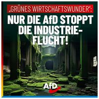 Bild: AfD Deutschland