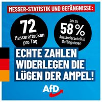 Bild: AfD Deutschland