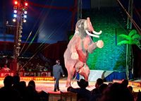Der verstorbene Elefantenbulle Colonel Joe bei einer Vorstellung des Circus Krone, 2011, in Heide. Bild: VIER PFOTEN