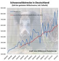 Die Jagd provoziert erheblichen Reproduktionsdruck. Die Jagdstrecken steigen seit Jahrzehnten kontinuierlich.  Bild: "obs/Wildtierschutz Deutschland e.V."