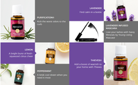 Bild: Screenshot der Webseite "youngliving.com"