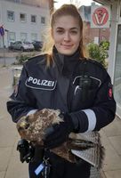 Polizeibeamtin mit Bussard bei Tierarzt