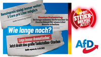 Bild: AfD Deutschland