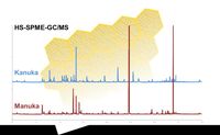 Chromatogramme Manuka Kanuka
Quelle: Karl Speer (idw)