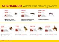 Stichkunde Insekten. Bild: "obs/ALK-Abelló Arzneimittel GmbH"