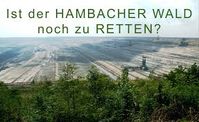 Hambacher Wald: Uralte Bäume sollen für kurzfristige Ausbeutung und Profitgier zerstört werden.
