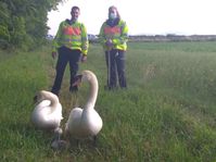 Geleitschutz der Polizei Bild: Polizei