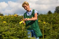 Bild: Verband Natürlicher Weihnachtsba Fotograf: Heidi Bücker