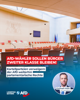 Bild: AfD Deutschland