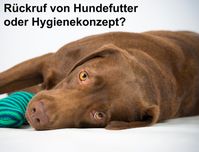 Bild: Verein für Gesundheitsbezogene L Fotograf: tierwerk