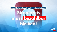 Bild: AfD Deutschland