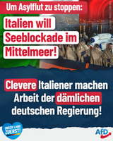 Bild: AfD Deutschland