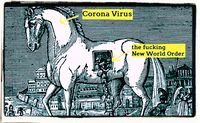 Es mehren sich die kritischen Stimmen, daß der harmlose Corona-Virus genutzt werden könnte um eine Neue Weltordnung einzuführen (Symbolbild)