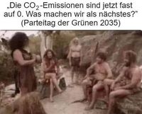 Die Partei Bündnis90 / Die Grünen in der Dauerkritik (Symbolbild)