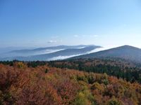 Nebel in den Tallagen, Sonnenschein und Wärme in den höheren Lagen bestimmen die WEtterlaage seit mehr als vier Wochen - wie hier auf dem Hirschenstein im Vorderen Bayerischen Wald
Quelle: Foto: J. Krause, LWF (idw)