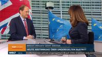 Lambsdorff auf Nachrichtensender WELT: Brexit-Aufschub nur bei zweitem Referendum. Bild: "obs/WELT/WeltN24 GmbH"
