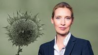 Dr. Alice Weidel (2018)