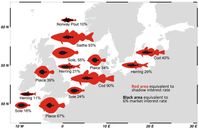Darstellung der Schattenzinssätze für 13 Fischarten. Je höher der Prozentsatz, desto überfischter ist ein Bestand und desto mehr würde sich eine Investition für die Fischer wie auch den Bestand lohnen.
Quelle: Grafik: Jörn Schmidt, The Future Ocean (idw)