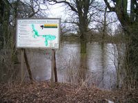 Flussauenlandschaft im Nationalpark Unteres Odertal