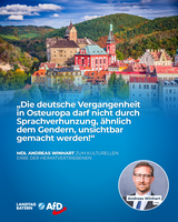 Bild: AfD Deutschland