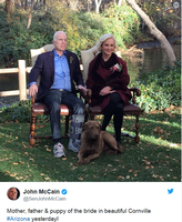 John McCain am 22. November auf Twitter. Diesmal ist der linke Fuß "verletzt" und nicht wie zwei Wochen vorher der rechte.