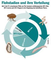 Bild: "obs/Bundesverband für Tiergesundheit e.V./BfT"