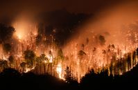 Waldbrand am 26.07.2022 im tschechischen Nationalpark Böhmische Schweiz in Hrensko nahe der Grenze zu Sachsen. Bild: picture alliance/ dpa Fotograf: Robert Michael